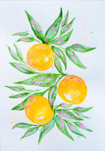 Load image into Gallery viewer, Citrus Dreams Print